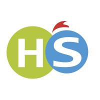 H.S headhunter success logo - Similar company to Technipro