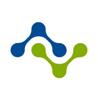 Netminds logo - Similar company to Remit