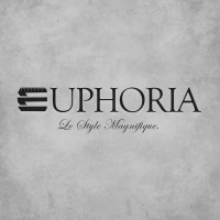 Euphoria International logo - Similar company to Hssl Systems Integrator Ltd