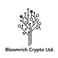 Bloomrich Crypto Ltd. logo - Similar company to Funjetsetter