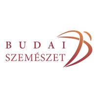 Budai Szemészeti Központ logo - Similar company to Creatiger Kft.