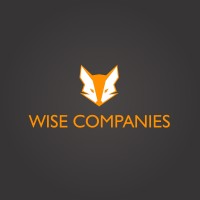 Wise Companies logo - Similar company to Wise Solution