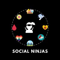 Social Ninjas logo - Similar company to Socialninjaz Technologies & Creative Media