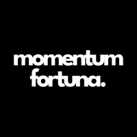 Momentum Fortuna logo - Similar company to Keynes Training (Mauritius)