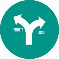 P&L Consulting Be