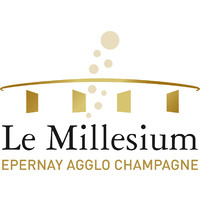 Le Millesium logo - Similar company to Millesium