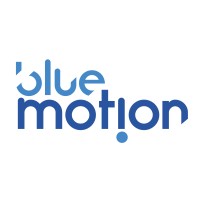 Blue Motion Group logo - Similar company to Hayani Africa