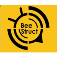 BeeStruct logo - Similar company to Beenet