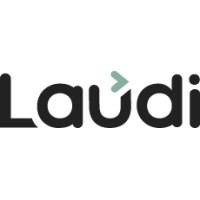 The Laudi Group logo - Similar company to Anesthesiaconsiderations.Com
