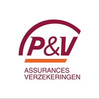 P&V logo - Similar company to P&V Group