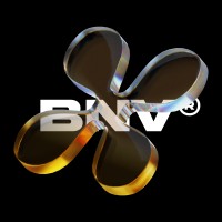 bnv.agency logo - Similar company to Hashpert Global