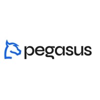 Pegasus Inc logo - Similar company to Cloudtech Innovations