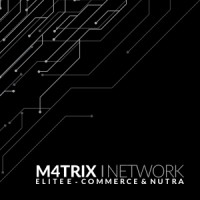 M4TRIX NETWORK logo - Similar company to Cybertiger Ltd.