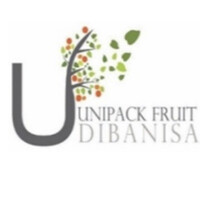 DIBANISA FRUIT logo - Similar company to Vierfontein Farm