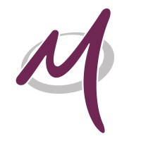 Mistral Specialist Vehicles logo - Similar company to Goodwin Electronics Ltd