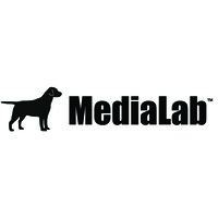 Medialab Llc