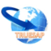 Truesap Business Consulting logo - Similar company to Emi Solutions Sdn Bhd