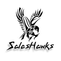 Sales Hawks logo - Similar company to Saleshawk