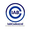 IAB CODES LTD logo - Similar company to Teazy Tech