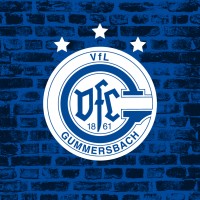 VfL Handball Gummersbach GmbH logo - Similar company to Rhein-Neckar Löwen