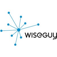 Wiseguy logo - Similar company to Orion Solutions