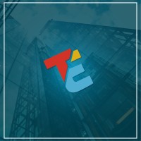 Transformación Empresarial logo - Similar company to Odigos&Co.