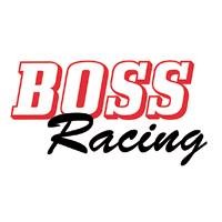 Boss Racing logo - Similar company to Belle & Skye Ltd