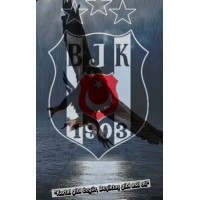 Beşiktaşlı logo - Similar company to Demarine Yem