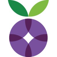 Datasmoothie logo - Similar company to Bigger Than Biscuits