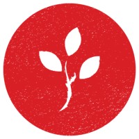 Root Creations