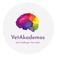 VetAkademos logo - Similar company to Brady Software