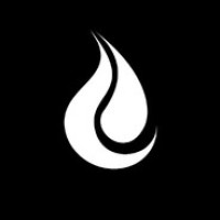 FireGames Network logo - Similar company to Giant Fox - Slimmere Consultancy