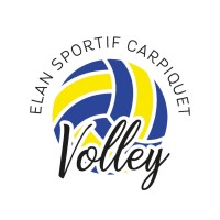 ESC Volley Ball logo - Similar company to Va Squad