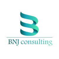 BNJ CONSULTING logo - Similar company to Abg Studio