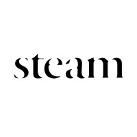 Steam Films logo - Similar company to 13 Degrees