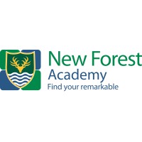 New Forest Academy logo - Similar company to Thinking Mind