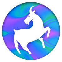 STN Digital logo - Similar company to Between Pixels