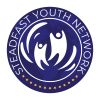 Steadfast Youth Network logo - Similar company to Asl Control Sl