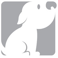 NF Pet logo - Similar company to Dinheiro Com Você