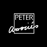 Peter & Associés logo - Similar company to Peter Auto