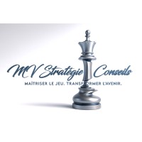 MV Stratégie & Conseils logo - Similar company to Mahitahi Hauora