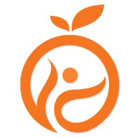 Satvix Informatics logo - Similar company to Enovate It Outsourcing Pvt. Ltd. (Development Center)