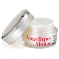 Angelique Monet logo - Similar company to Monet & Me