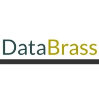 DataBrass logo - Similar company to Databras Informática