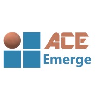 AceEmerge Innovations logo - Similar company to Extends Model