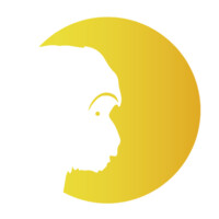 Bonobo Energy logo - Similar company to Ecb Projects 4.0