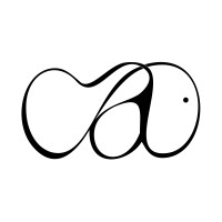 Creative Ants logo - Similar company to Creative Ant Studios