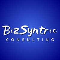 bizSyntric Consulting logo - Similar company to Kwige Investments