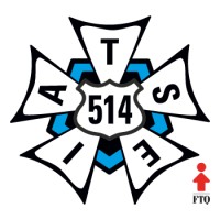 IATSE 514 logo - Similar company to Sggt