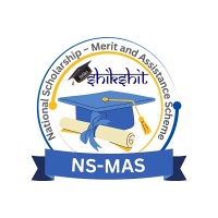 NS-MAS logo - Similar company to Next Creation Inc.